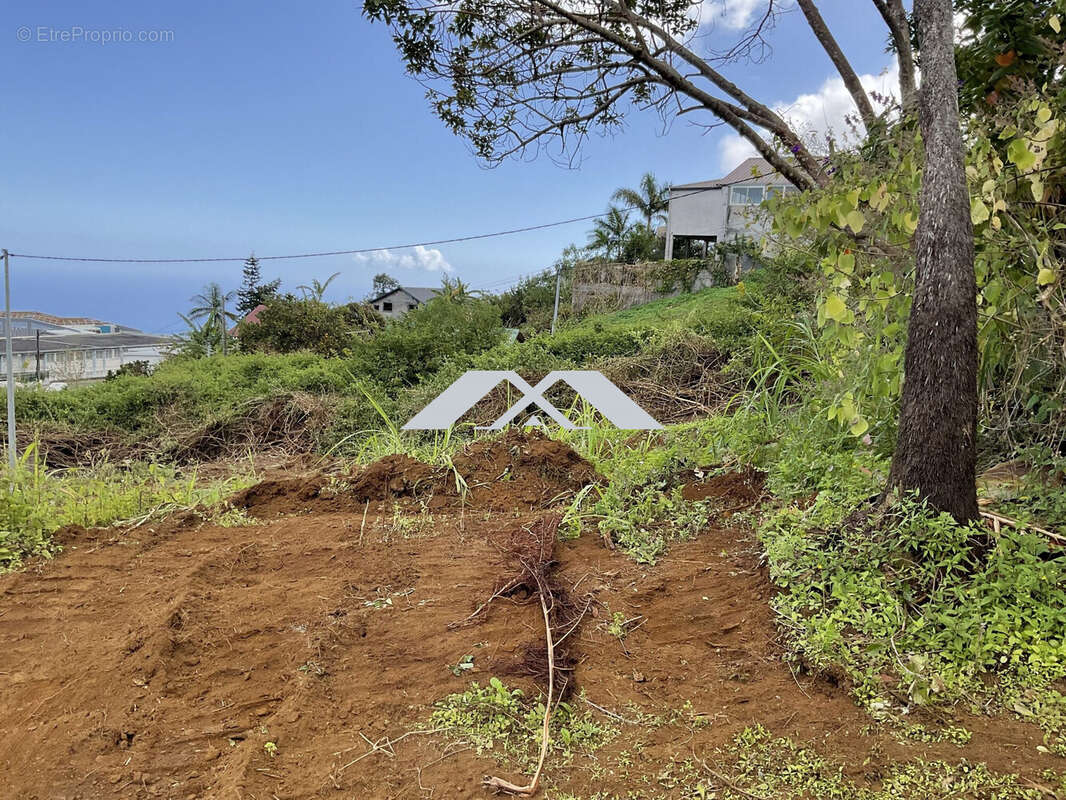 Terrain à SAINT-LEU