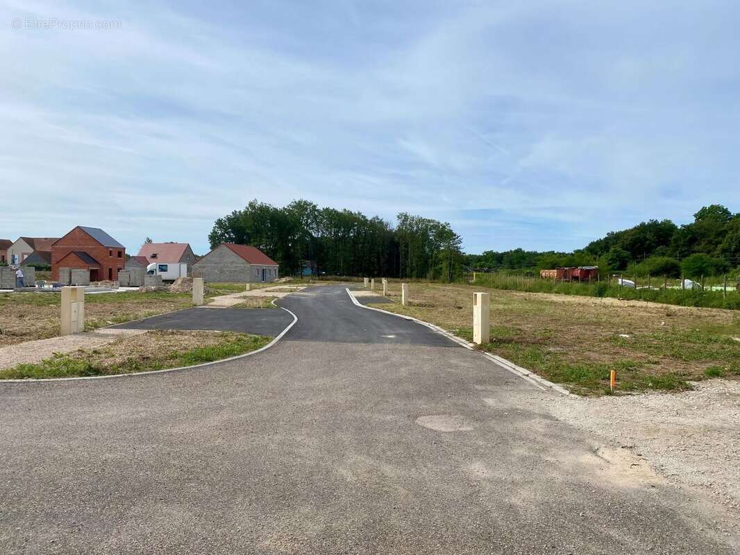 Terrain à LA FERTE-SAINT-AUBIN