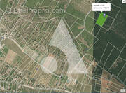 Terrain à SAINT-JULIEN