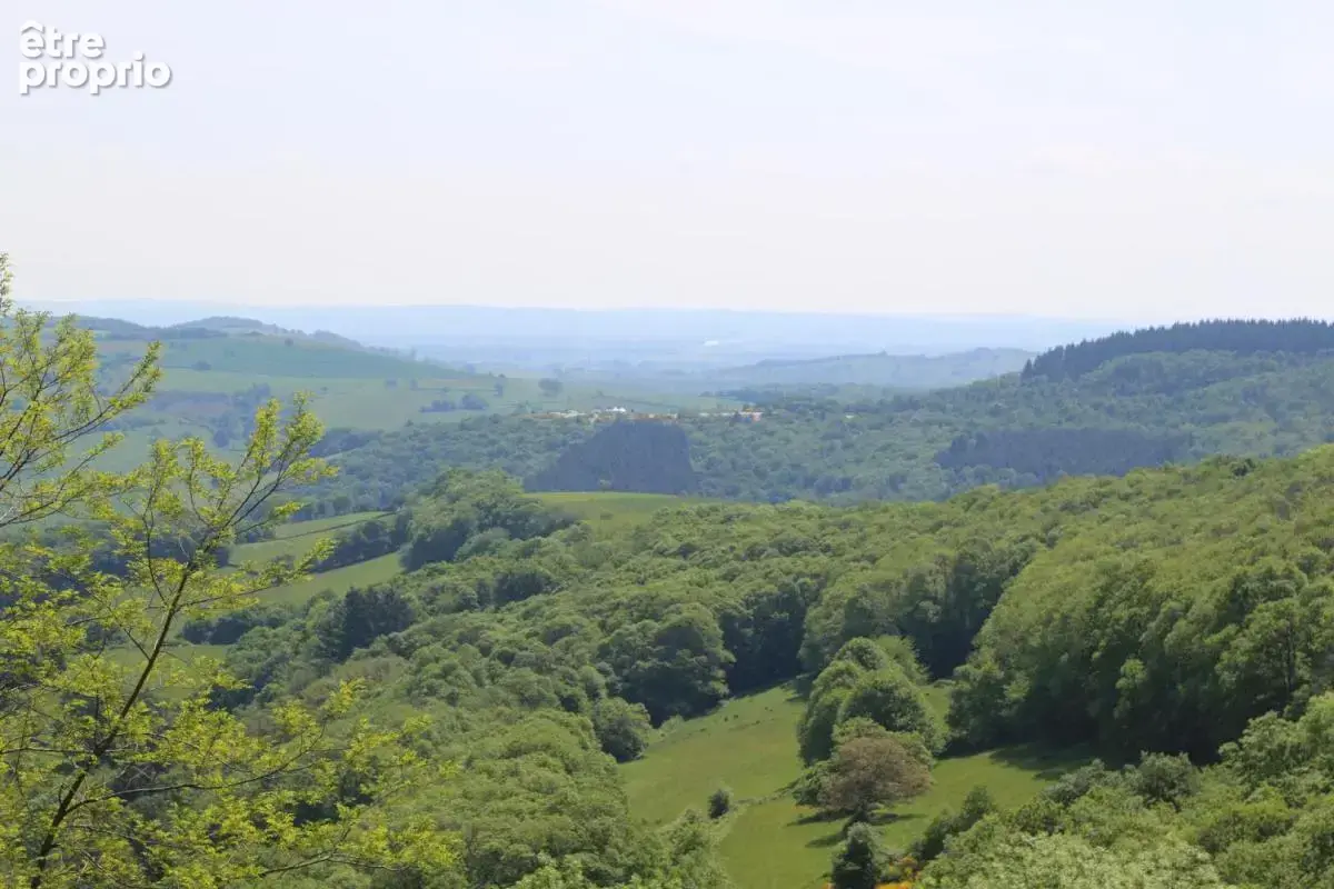 Propriété avec vue dégagée isolée au milieu de ses bois - photo 4