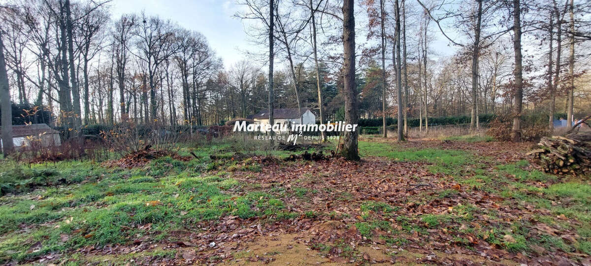 Maison à MONTMIRAIL