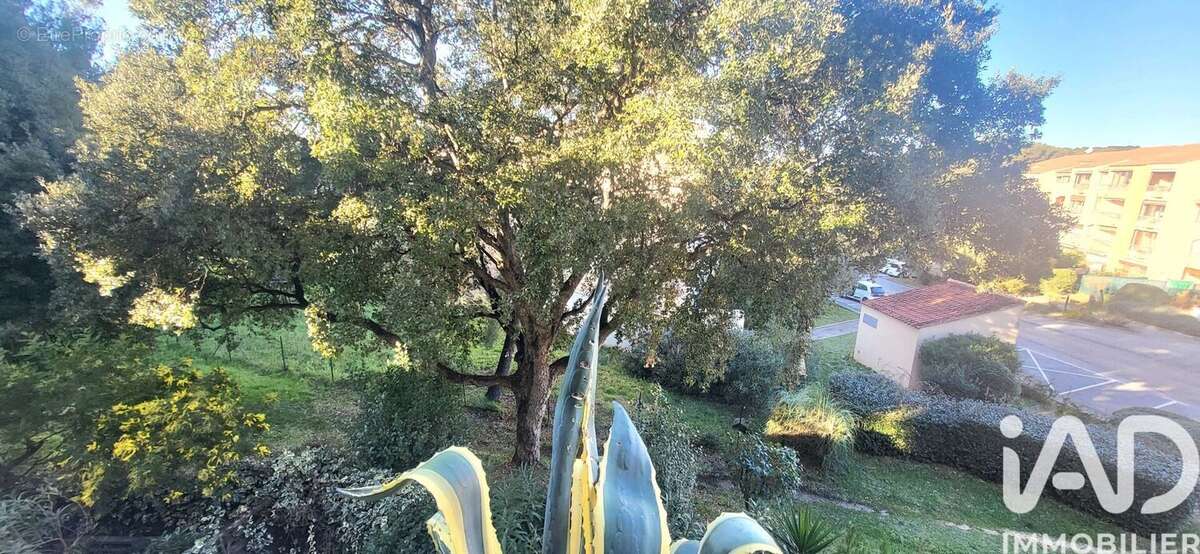 Photo 3 - Appartement à SAINT-MANDRIER-SUR-MER