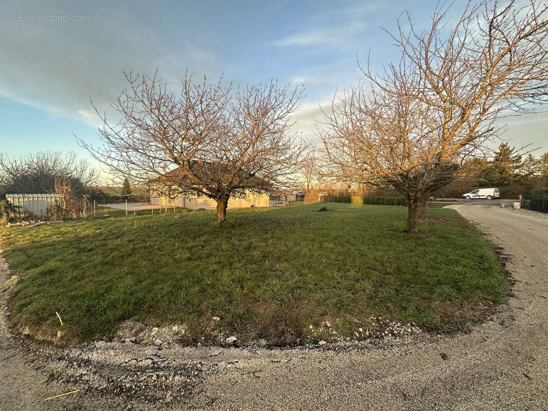 Terrain à AUBETERRE