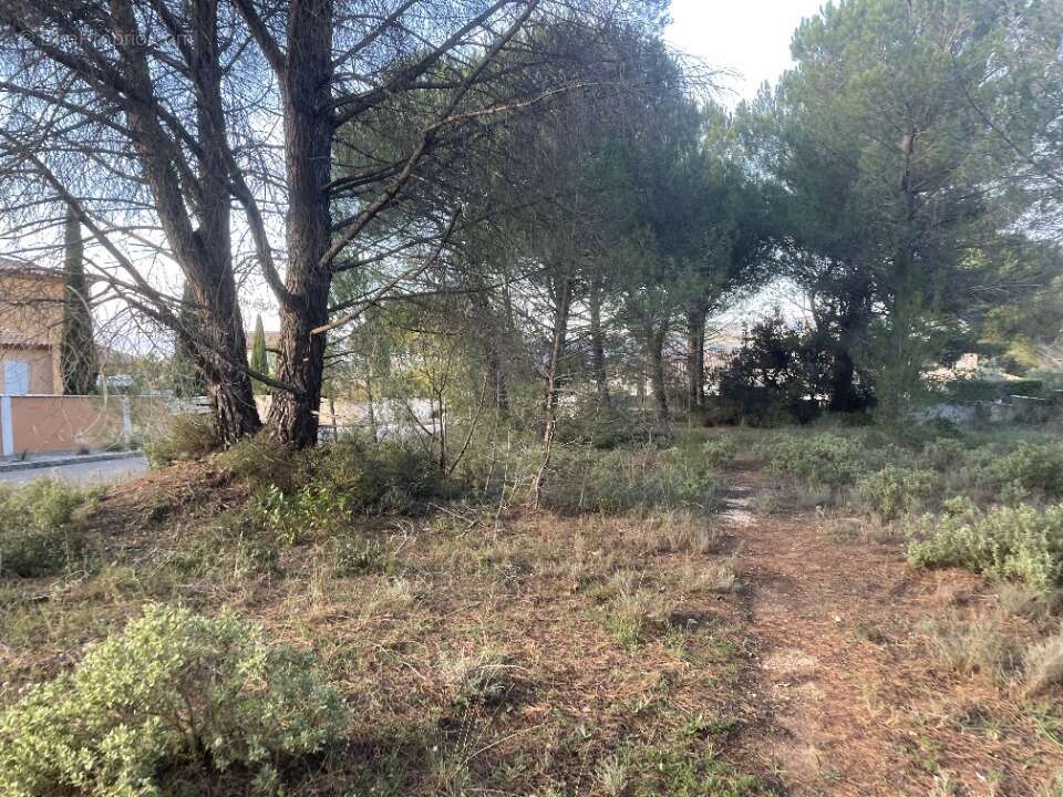 Terrain à ALLEINS