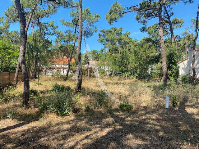 Terrain à LA TRANCHE-SUR-MER