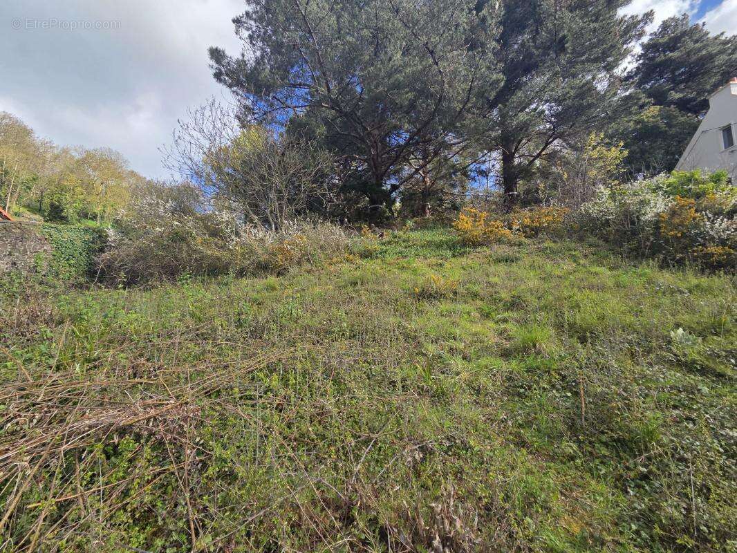 Terrain à BINIC