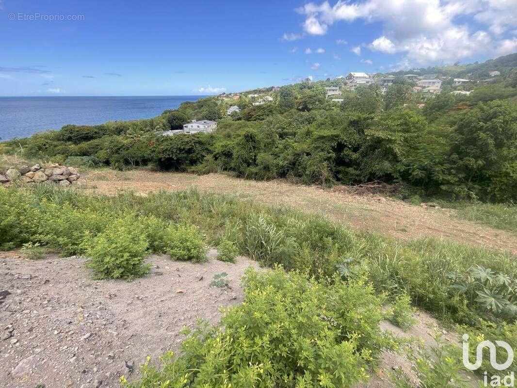 Photo 9 - Terrain à VIEUX-HABITANTS