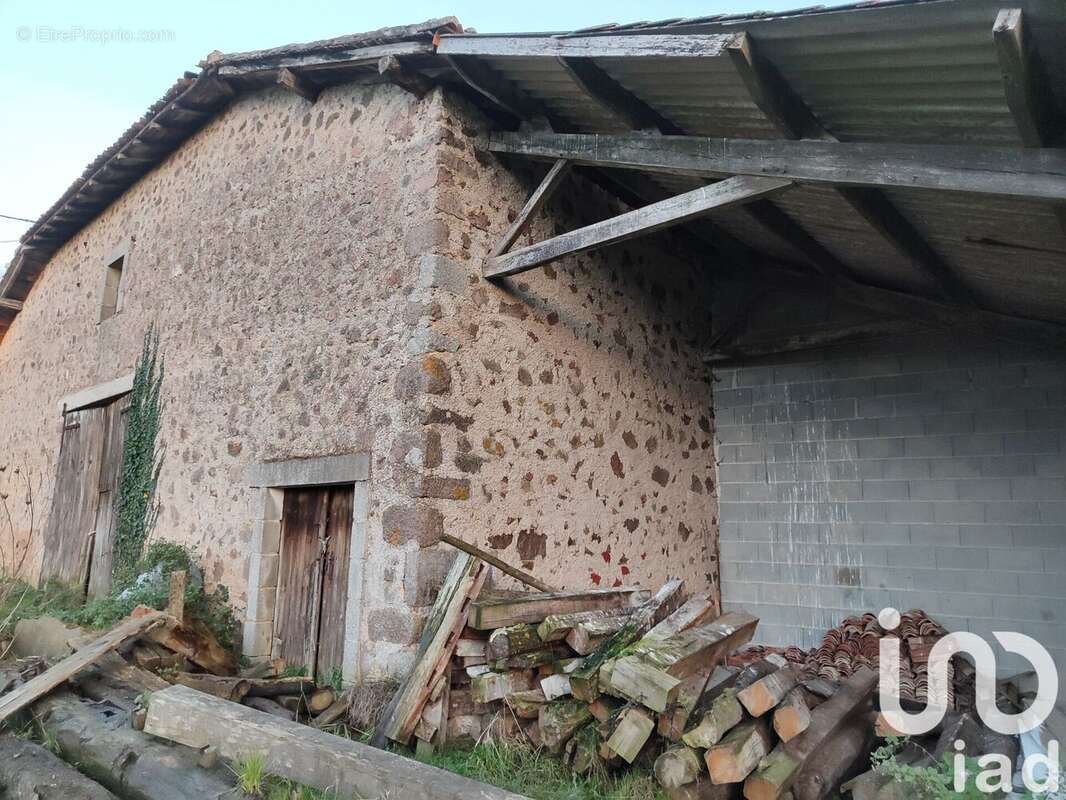 Photo 9 - Maison à CHIRAC