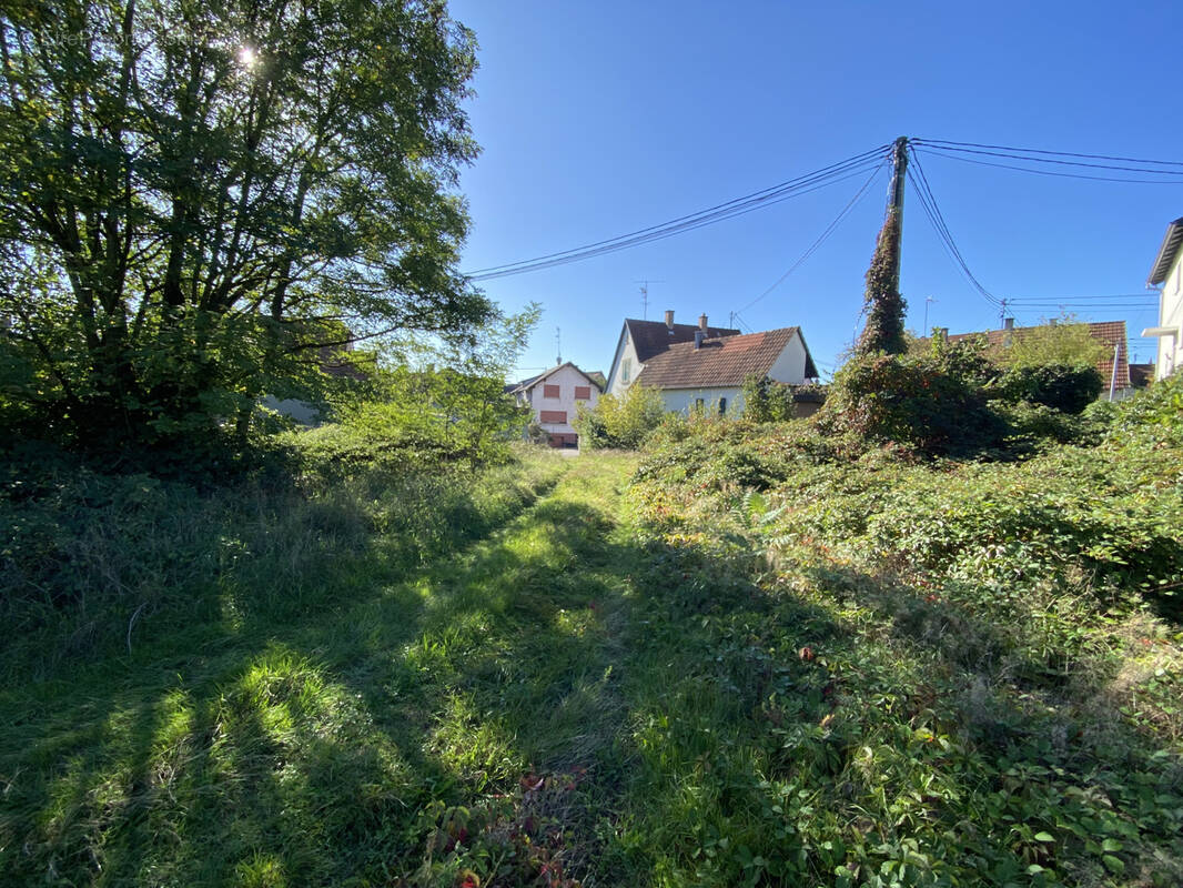 Terrain à SOUFFLENHEIM