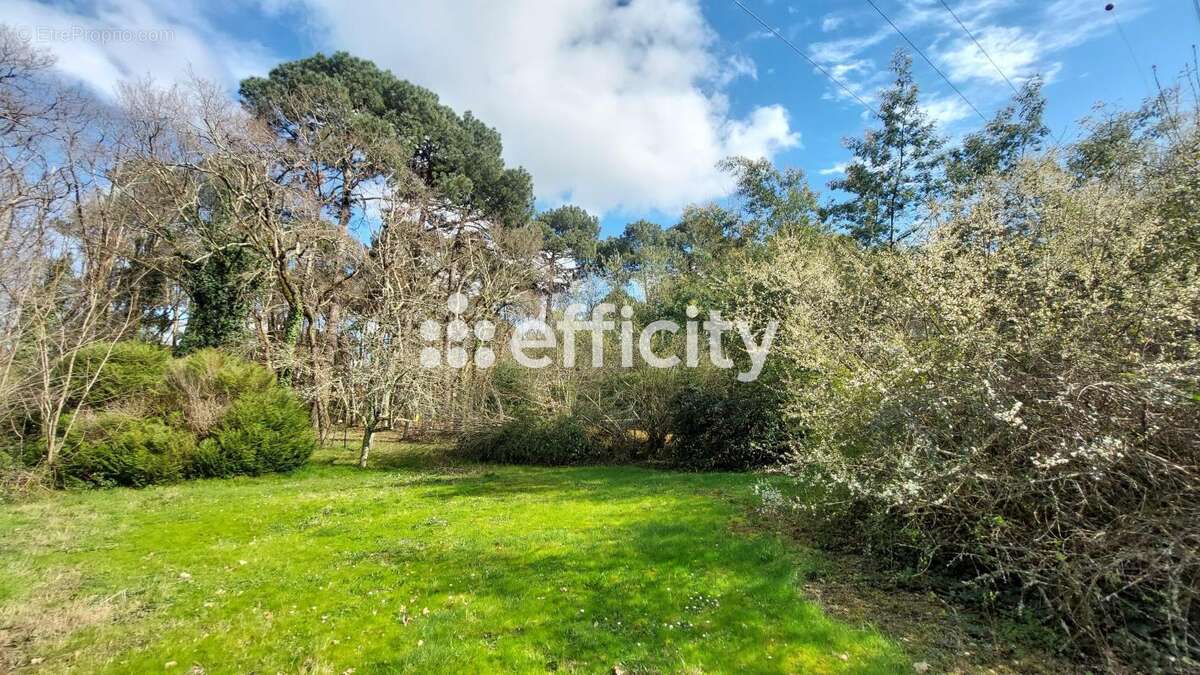 Maison 314 m² à Eysines  - photo 11