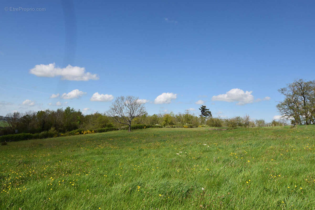 Maison à SAINT-MARTIN-D'ESTREAUX