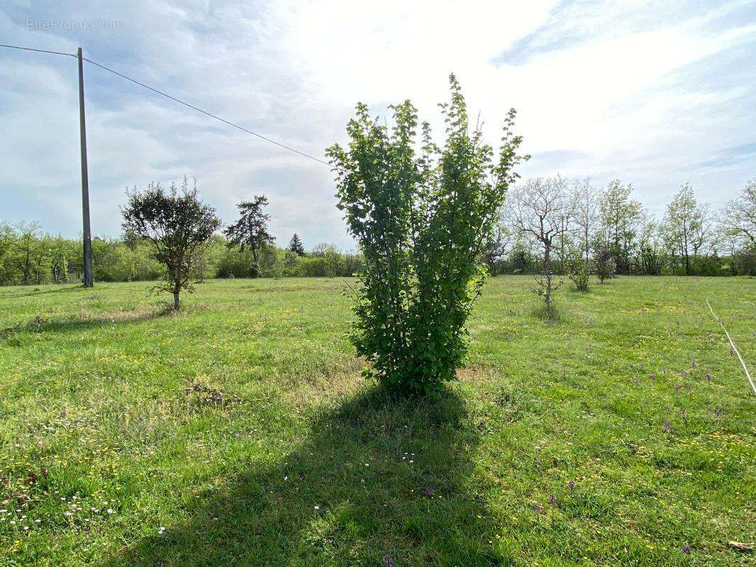 Maison à SAINTE-ALVERE