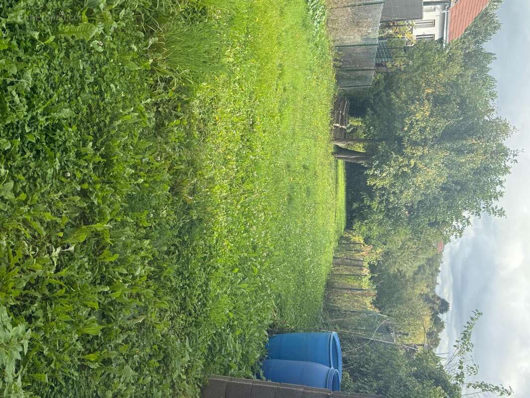 Photo 2 - Maison à MONT-SAINT-MARTIN