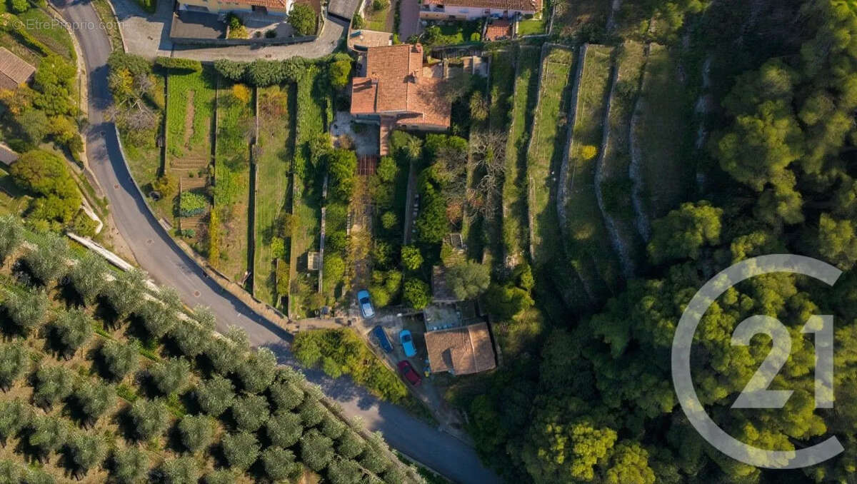 Terrain à VALLAURIS