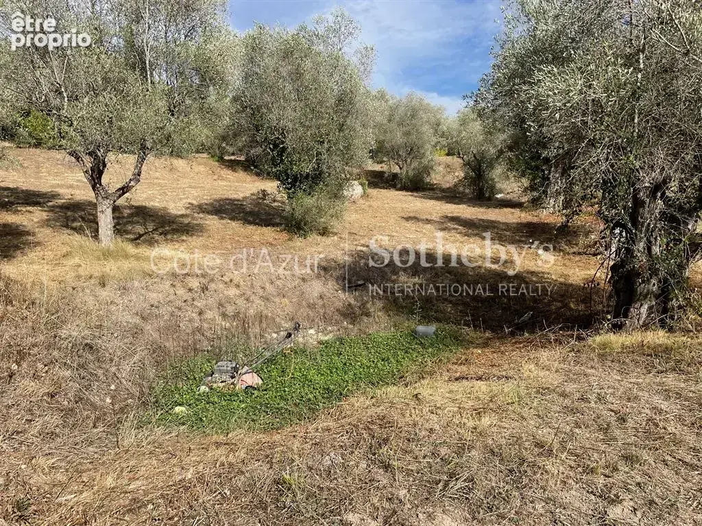 Projet de 3 villas contemporaines sur 35 233 m² - photo 3