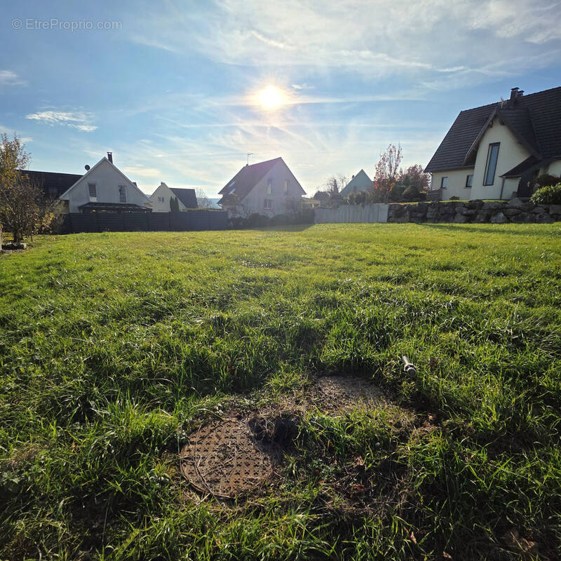 Terrain à FOLGENSBOURG