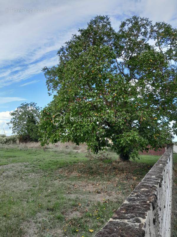 Terrain à VENDEUVRE-DU-POITOU