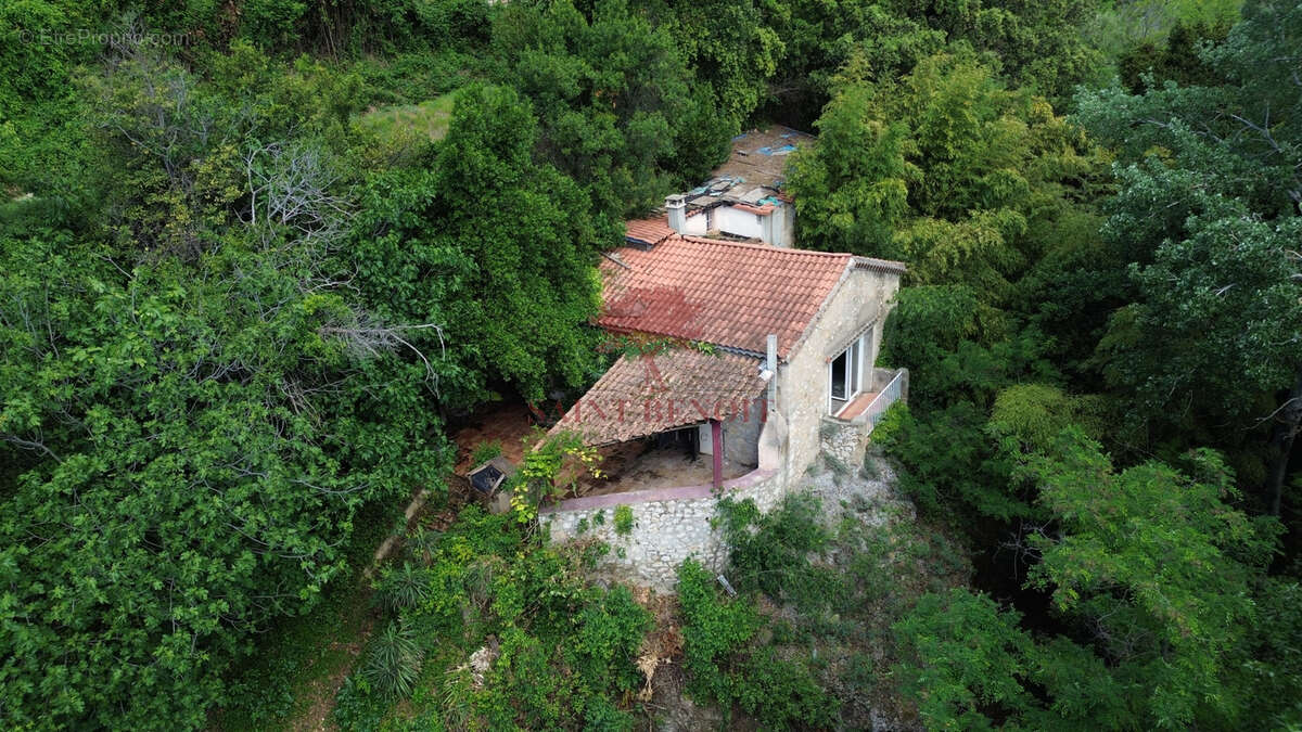 Maison de type t3 sur 2 niveaux et un appartement de type t2 sur une parcelle arboree de 6069m2 avec un bassin - photo 25