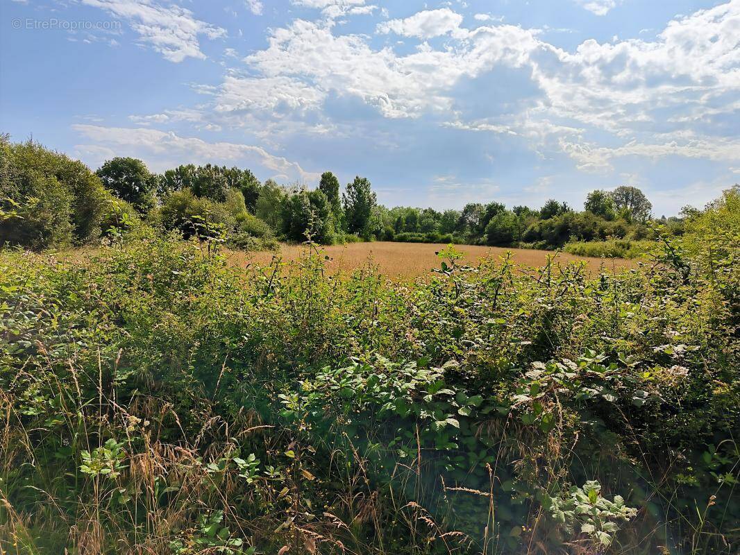 Terrain à ROMORANTIN-LANTHENAY