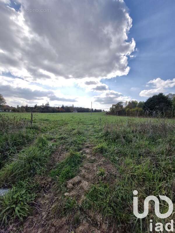 Photo 2 - Terrain à CHAUDENAY