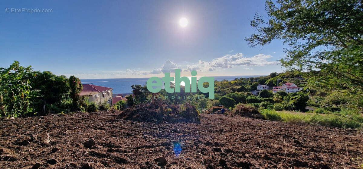 Terrain à VIEUX-HABITANTS