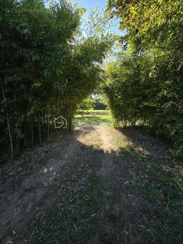 Maison à SAINT-JULIEN-DE-PEYROLAS