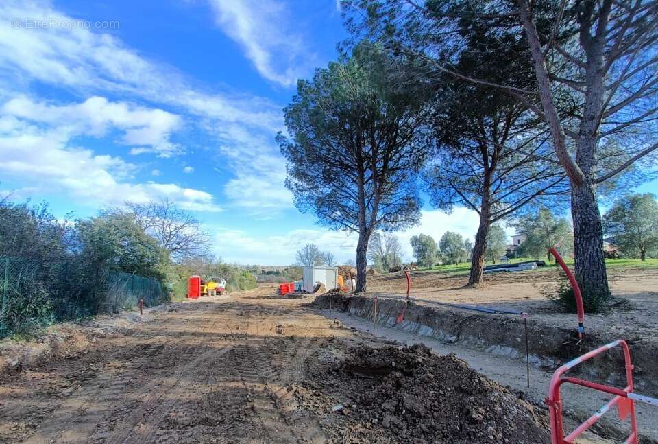 Terrain à ROQUEBRUNE-SUR-ARGENS