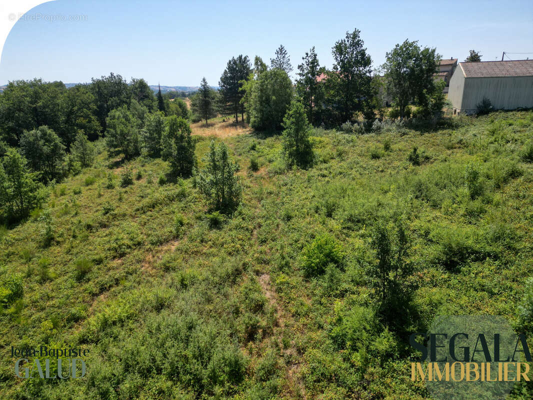 Terrain constructible boisé de 6 310 m2 à Mirandol-Bourgnounac - photo 17