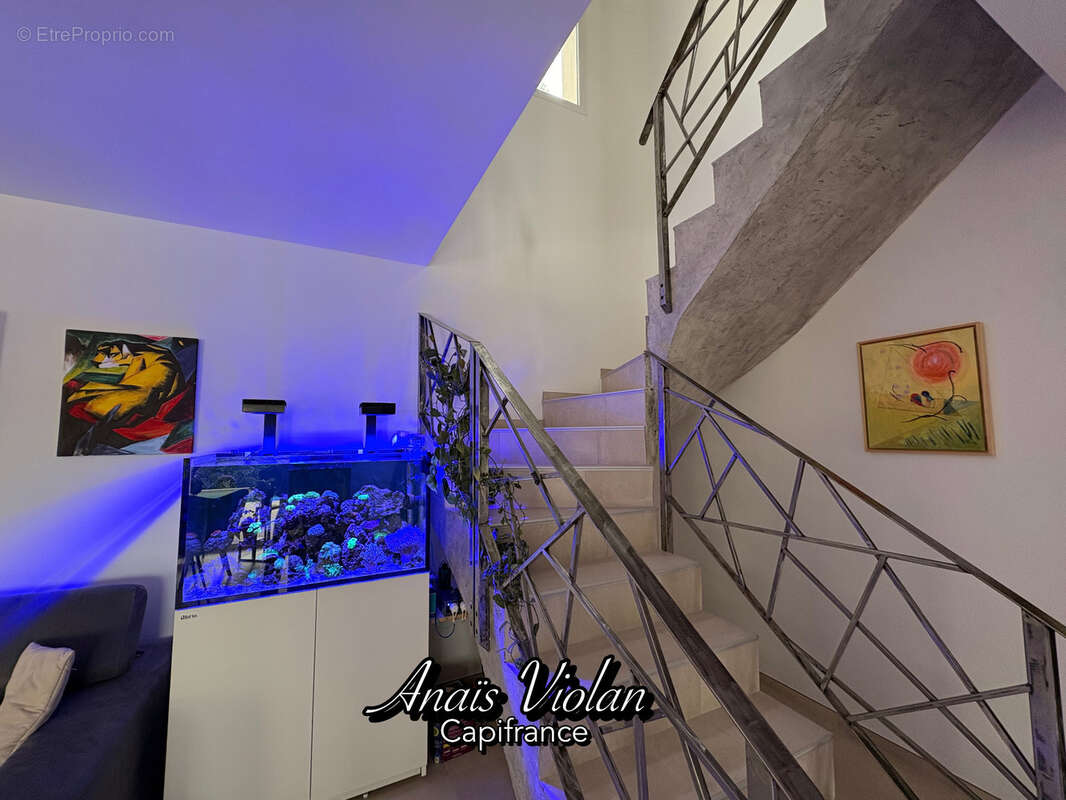 Villa d'exception à vendre 5 pièces avec piscine, jardin, terrasse et garage (34160) - photo 9