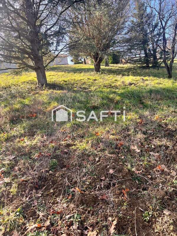 Photo 3 - Terrain à LACROIX-FALGARDE