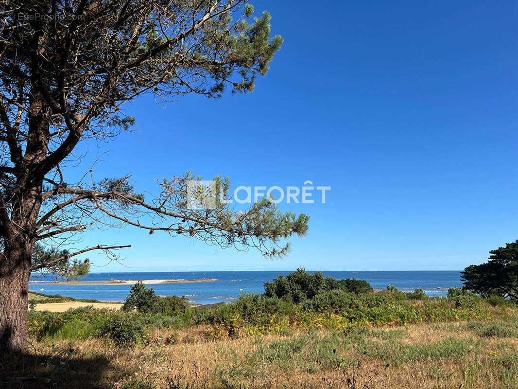 Corps de ferme 2,3ha vue imprenable - photo 3