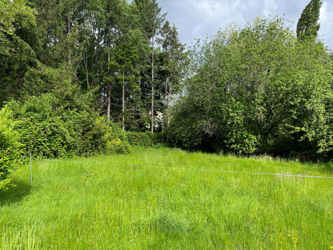 Terrain à SARREGUEMINES