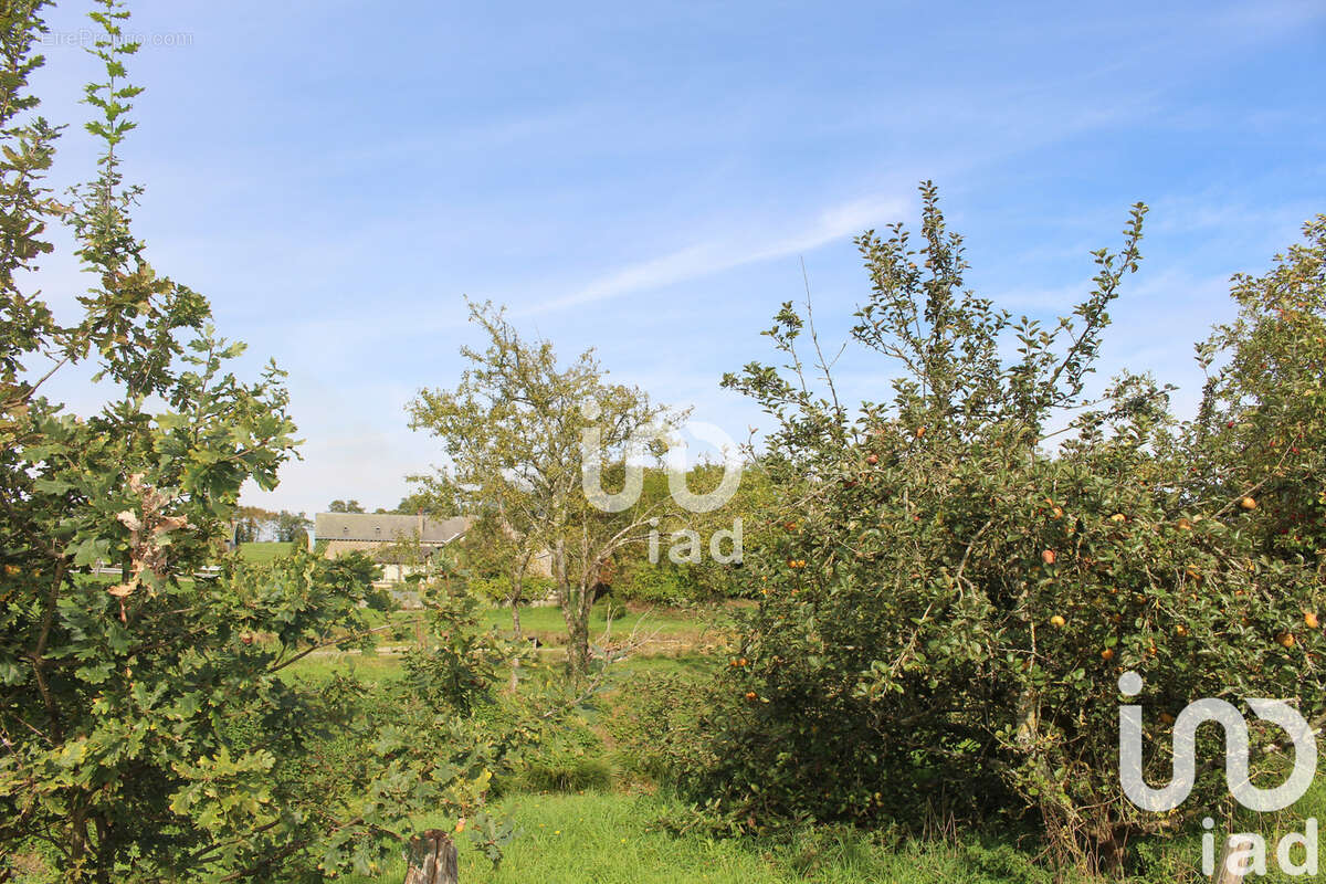 Photo 8 - Maison à SAINTE-GEMMES-LE-ROBERT