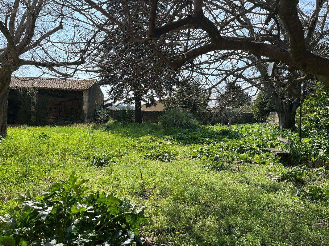 Maison à SAINT-PONS-DE-MAUCHIENS