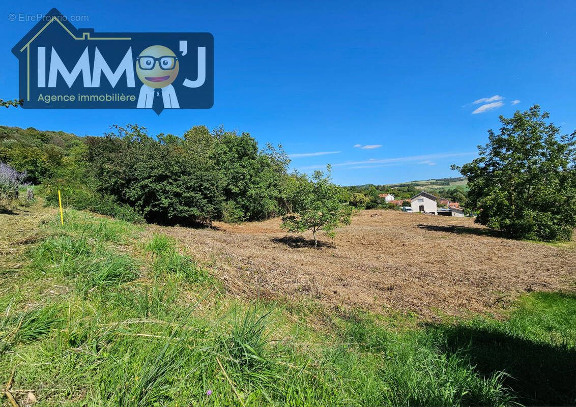 Terrain à BOUXIERES-AUX-CHENES
