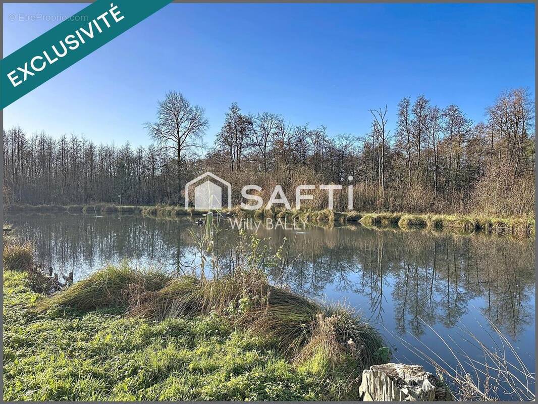 Photo 1 - Maison à MONTREUIL