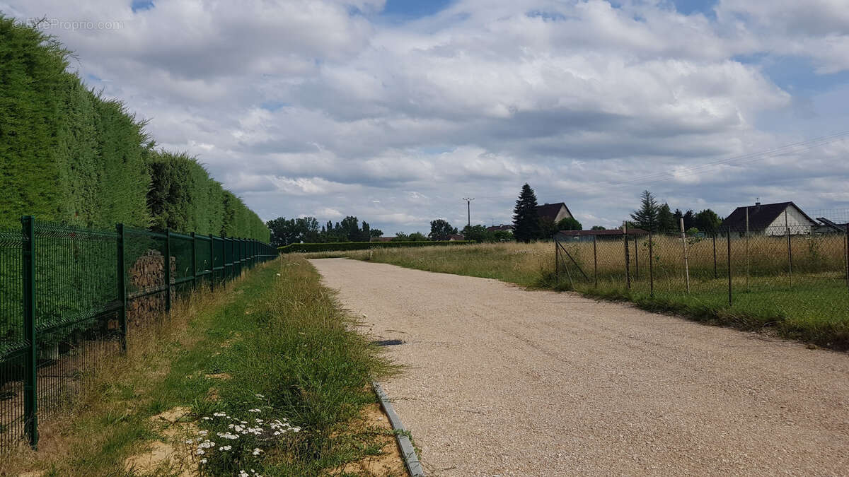 Terrain à L&#039;ABERGEMENT-SAINTE-COLOMBE