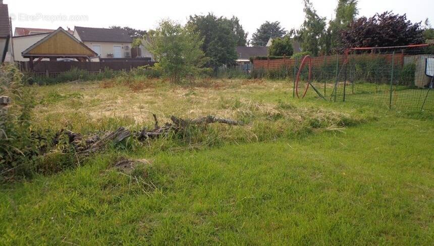 Terrain à SAINT-MARD