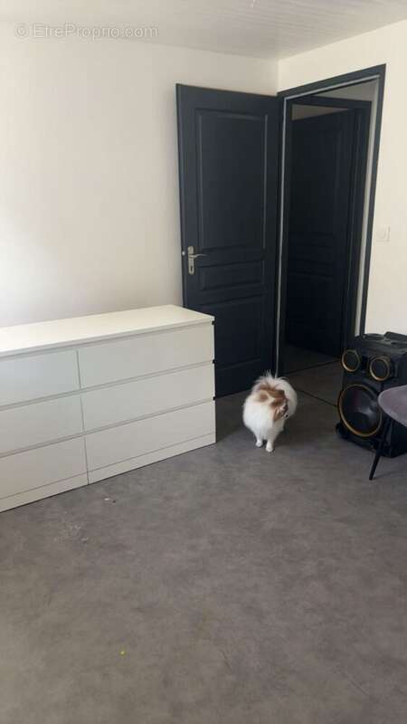 Appartement à ALLEVARD