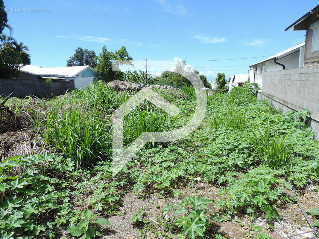 Terrain à LE TAMPON