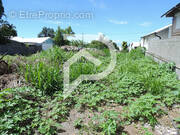 Terrain à LE TAMPON