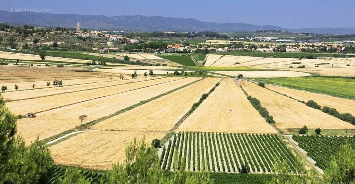 Terrain à CAZOULS-LES-BEZIERS