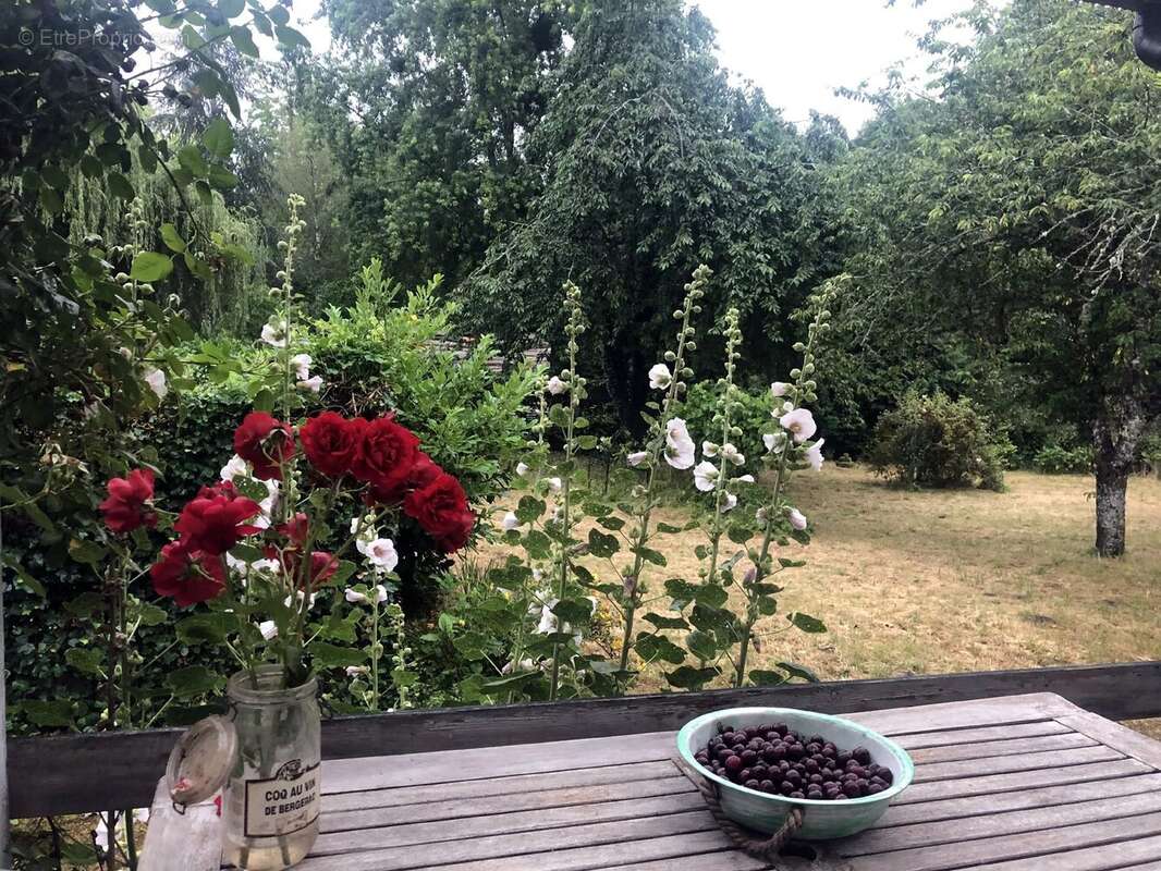 Charmante maison individuelle avec jardin en Haute-Saône. - photo 7