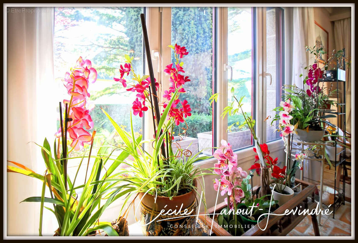 Maison à LE MONT-SAINT-MICHEL