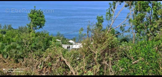 Terrain à SAINT-JOSEPH