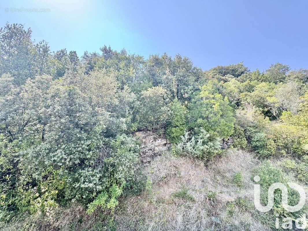 Photo 5 - Maison à SAINT-AMBROIX