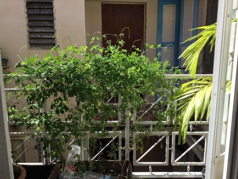 Appartement à BASSE-TERRE
