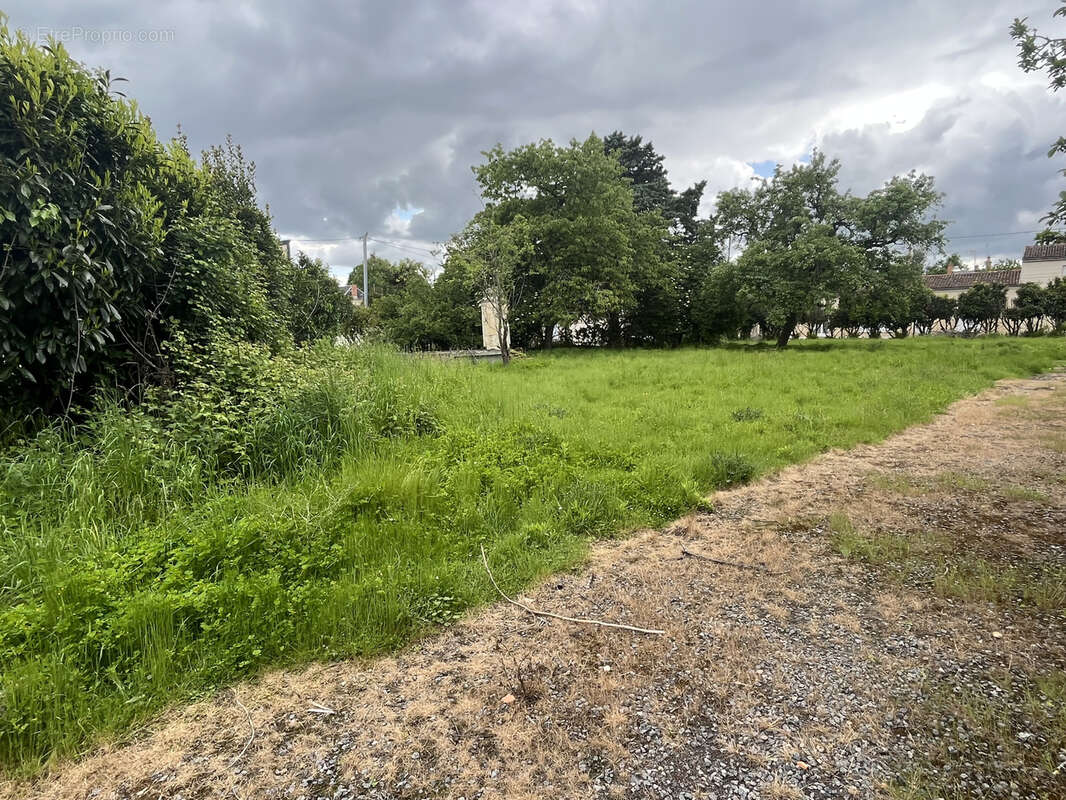 ref 60513 BRION PRES THOUET Terrain constructible hors lotissement de 1258m2 - photo 2