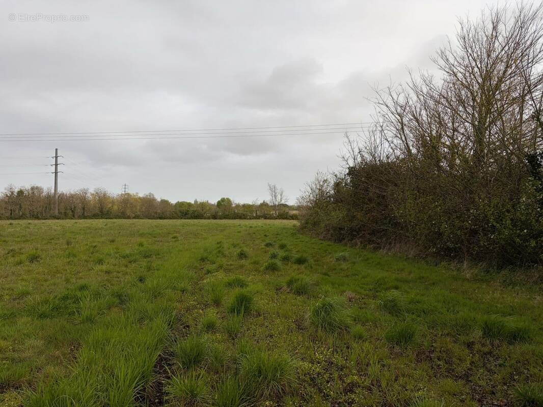 Terrain à LA ROCHELLE