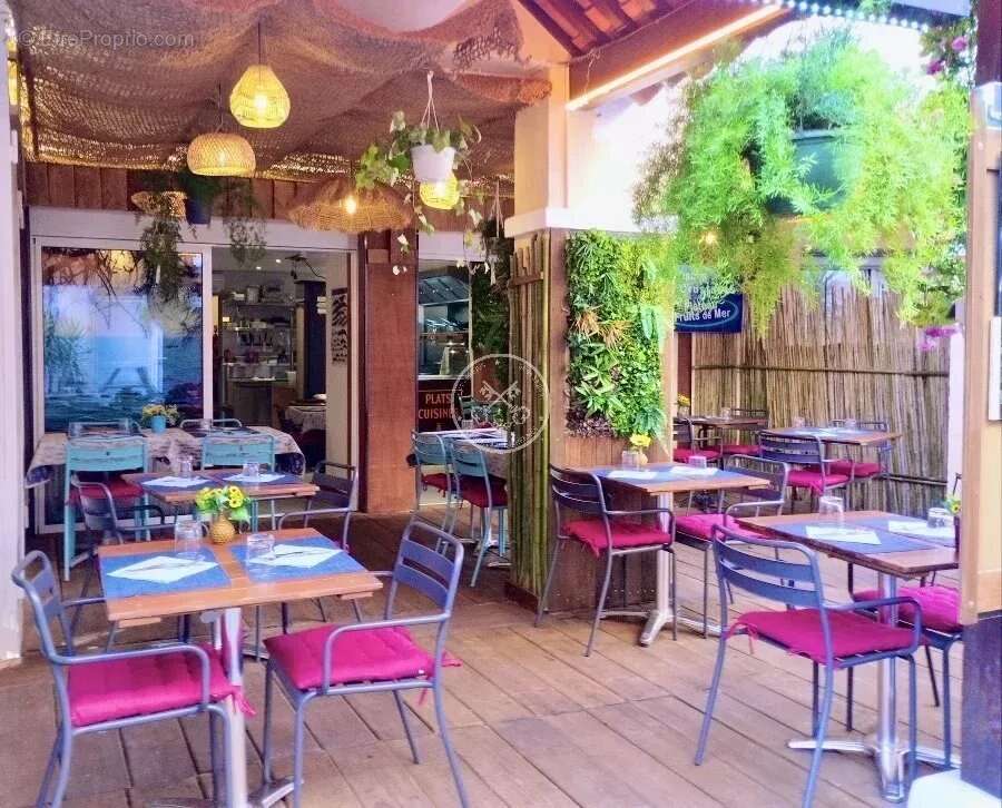 Commerce à SAINT-RAPHAEL